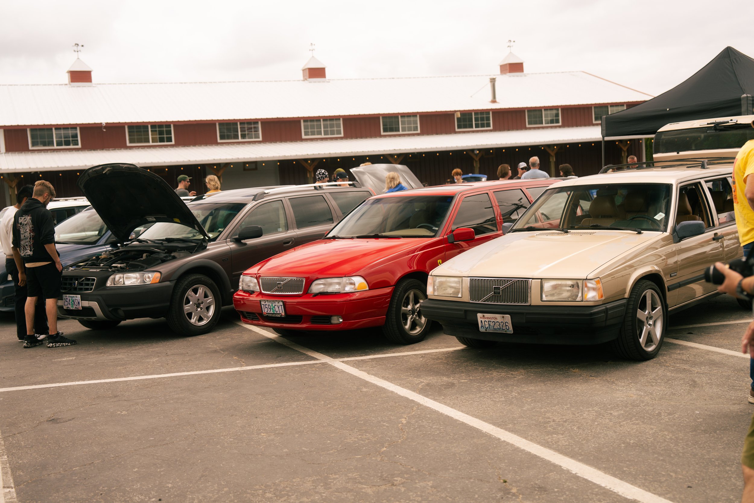 DSC08778.jpg