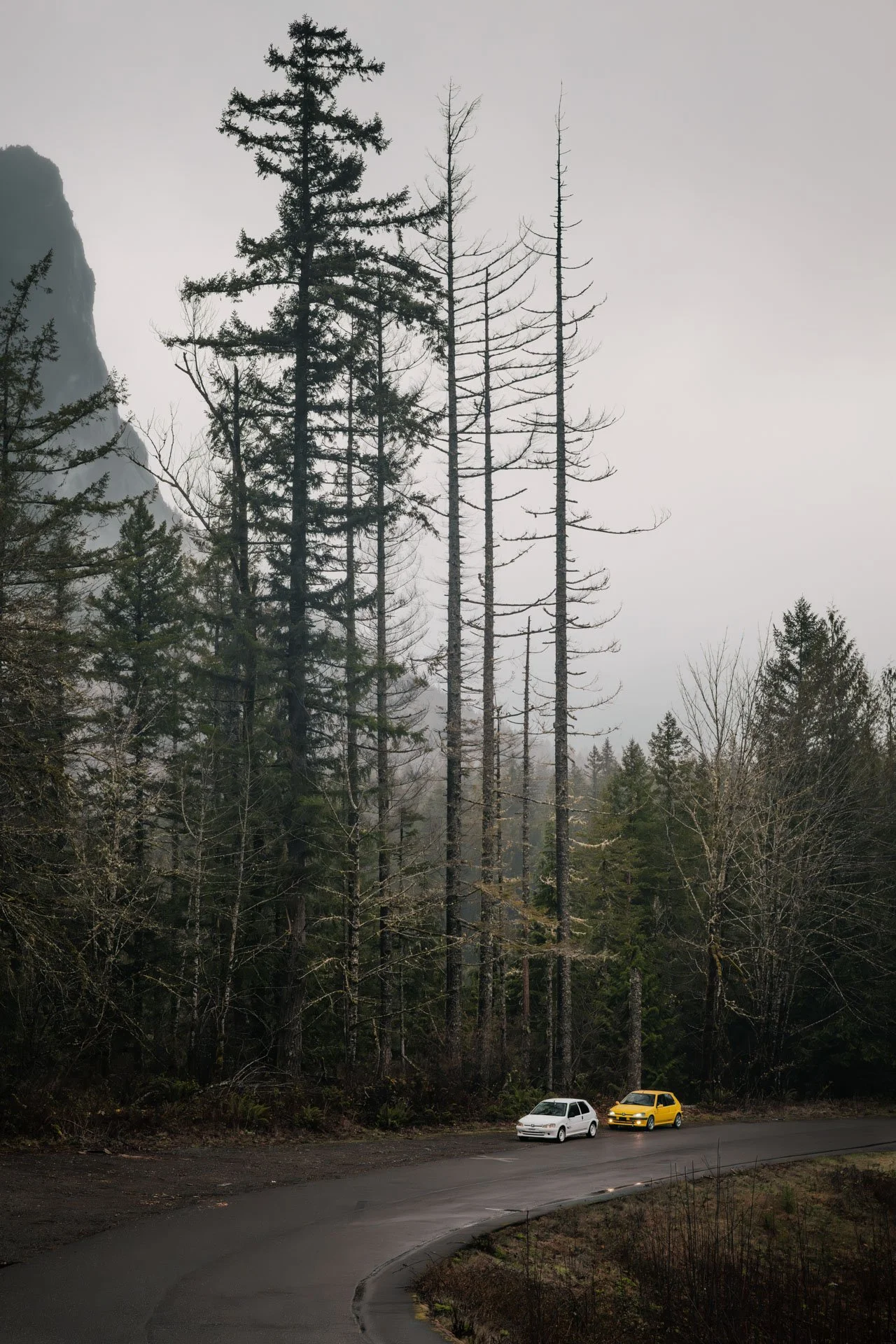 DSC_7403.jpg