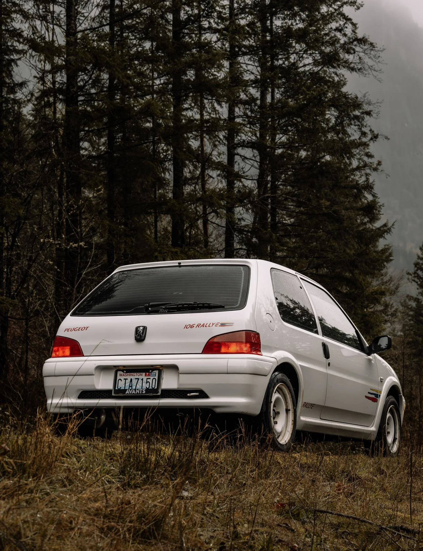 DSC_7364.jpg