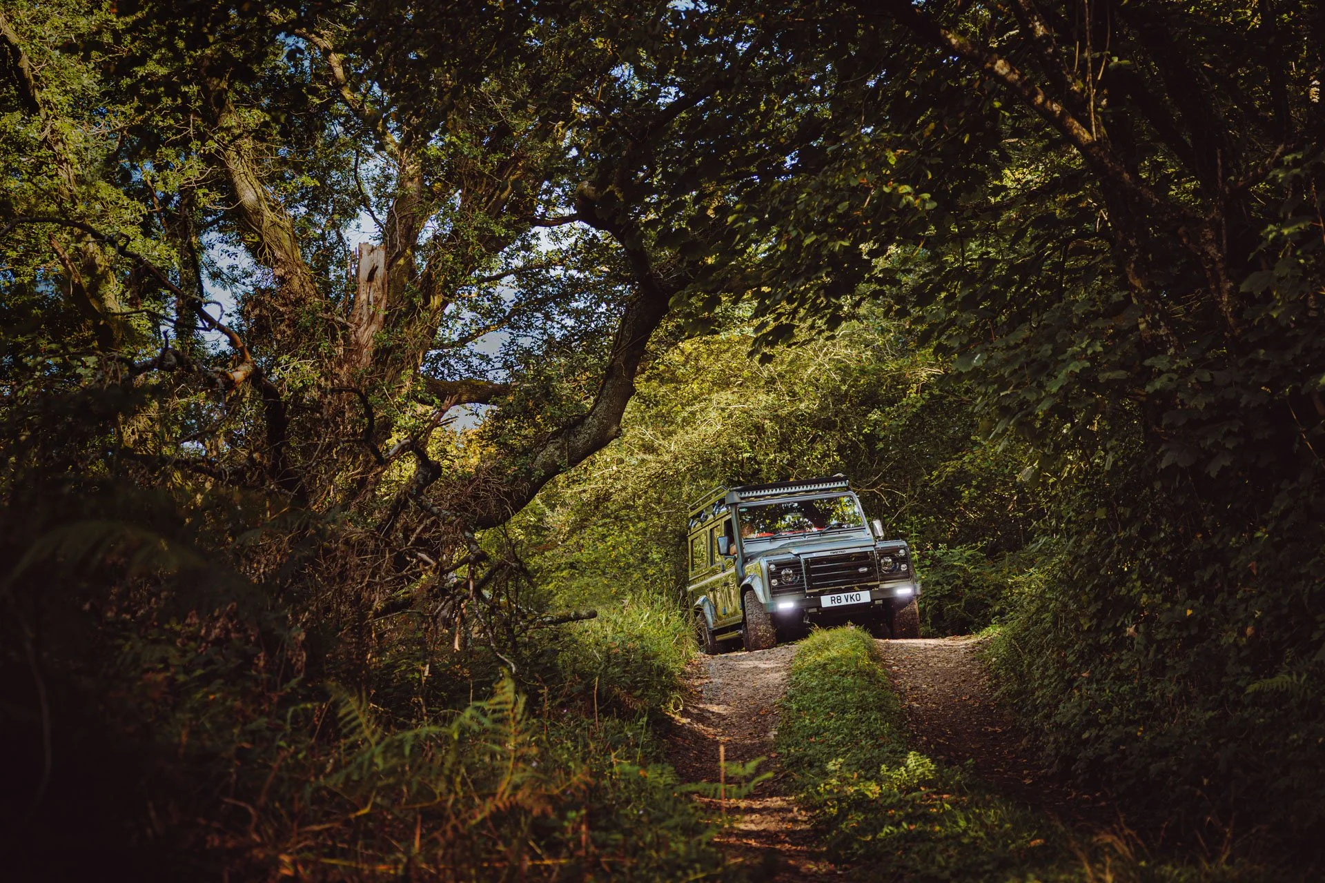 Twisted Automotive