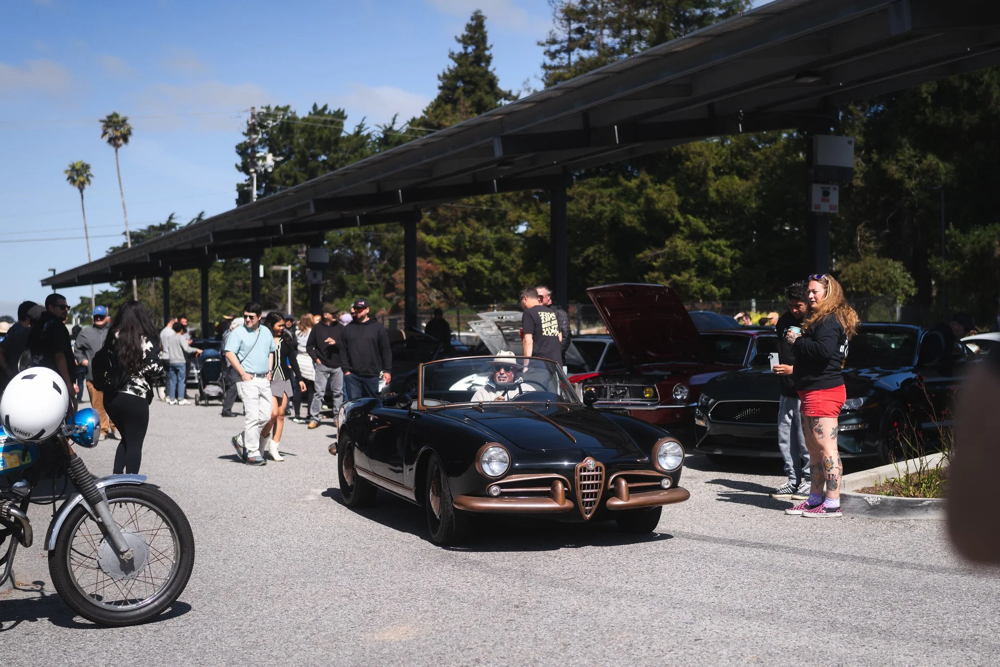 Avants at DWA! Morning Motors