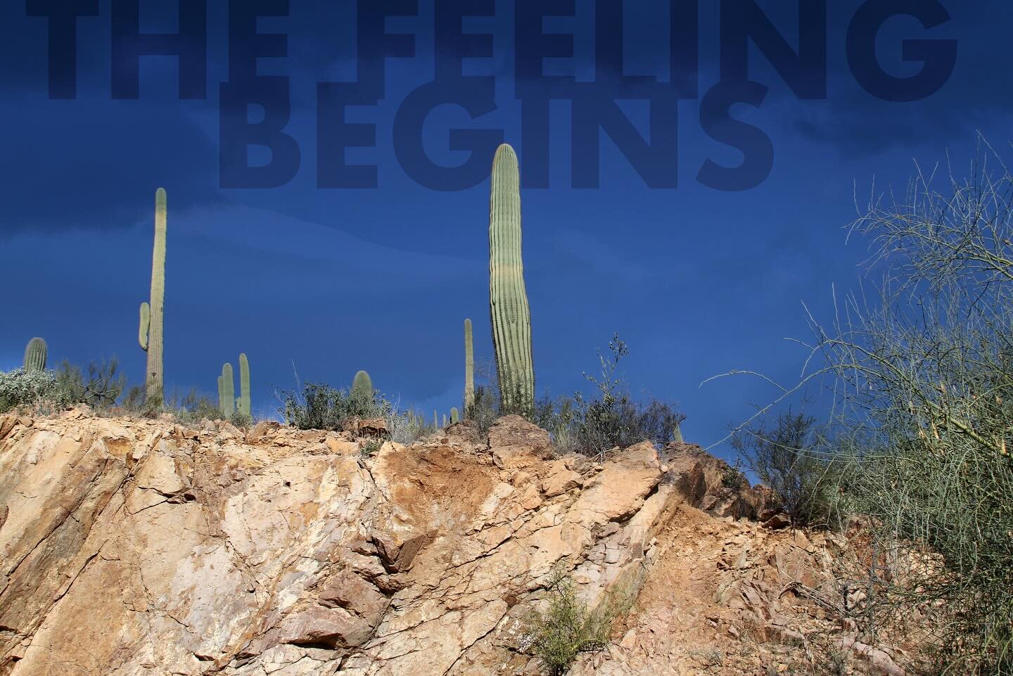 The Feeling Begins
.
🎵 Peter Gabriel, 1989
.
.
#thefeelingbegins #petergabriel #songtitles #sedona #arizona #cactus #nature #beauty
