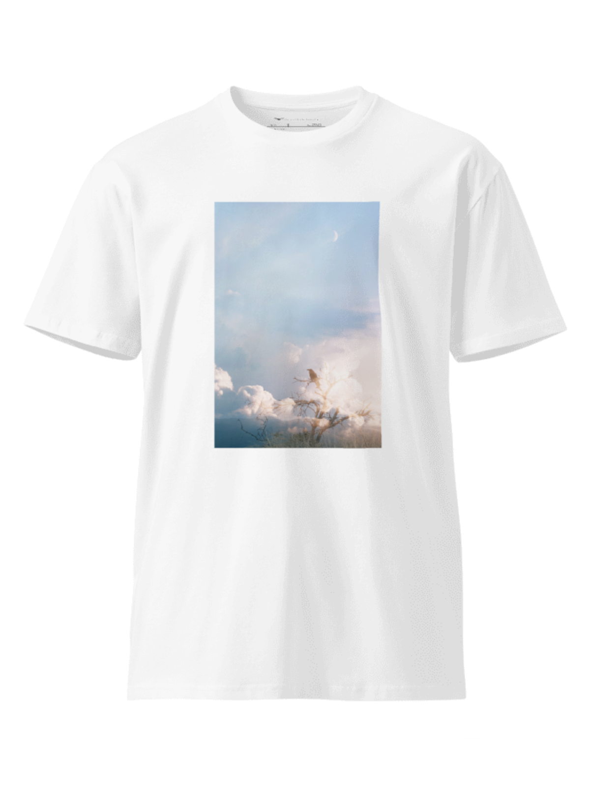 product-tees-whitebg-sometimes-salvation.png