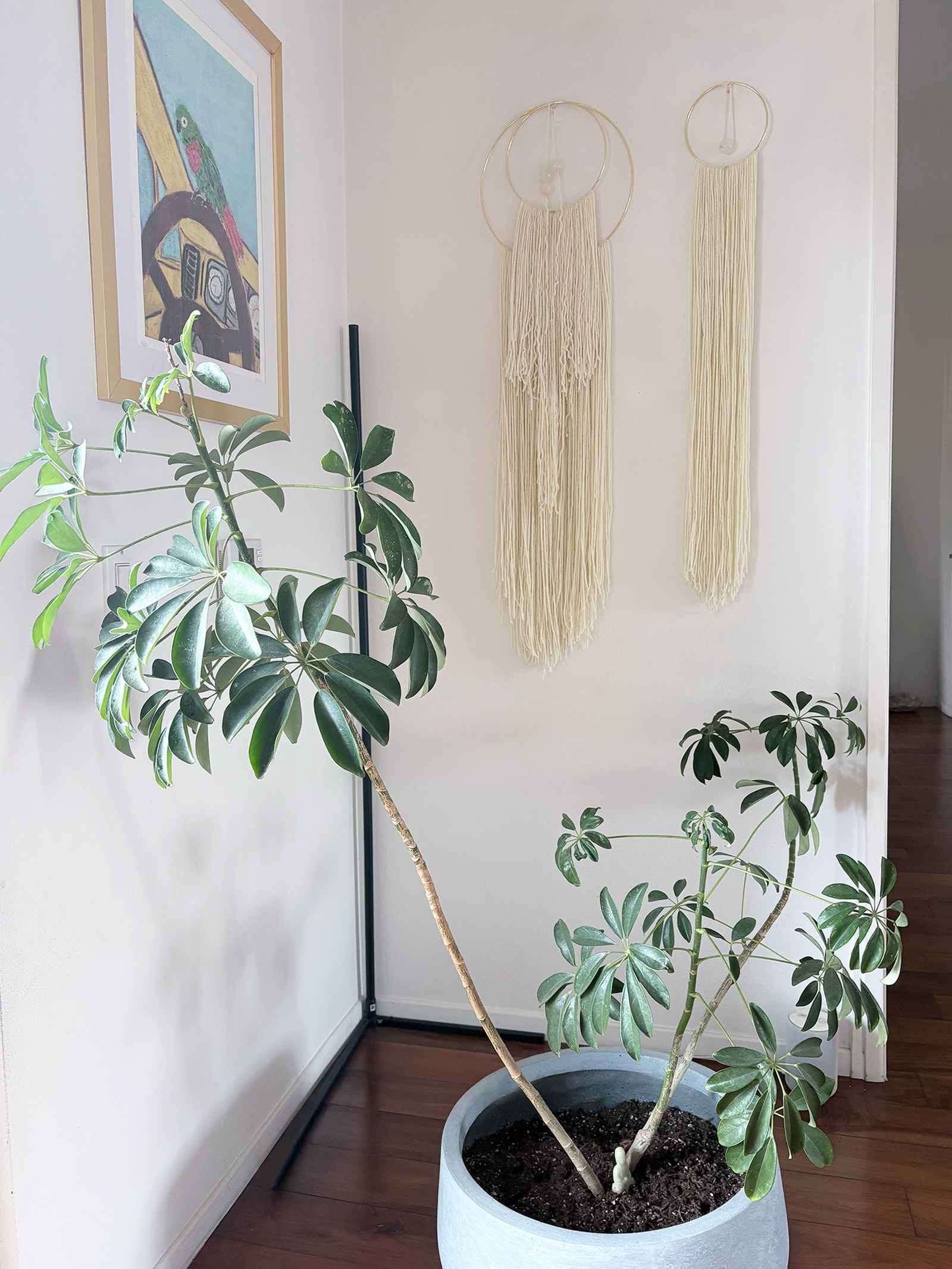 Two pieces wall art hanging in home