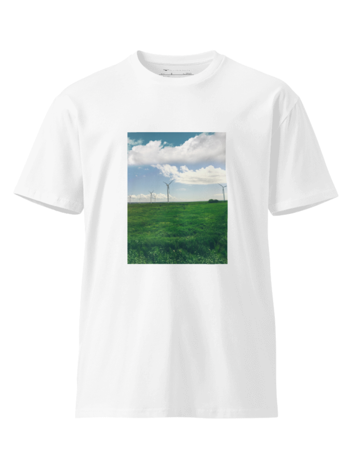 product-tees-whitebg-promise-her-anything.png