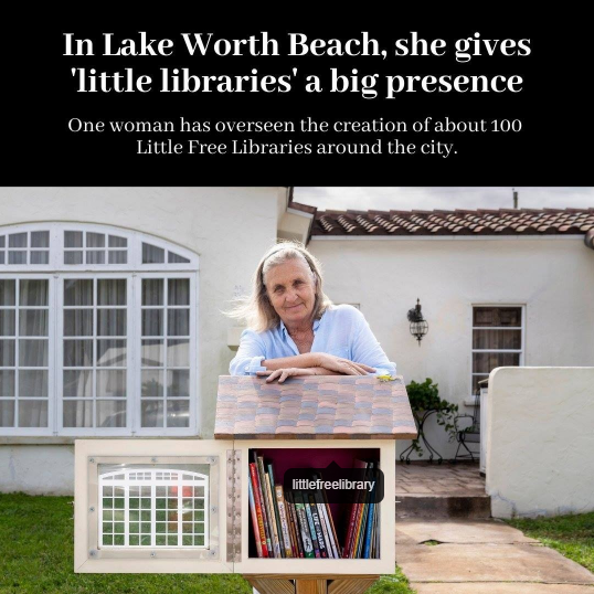 little libraries - website.PNG