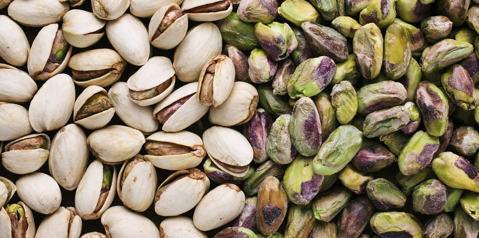 Clams, Salmon, and Pistachios