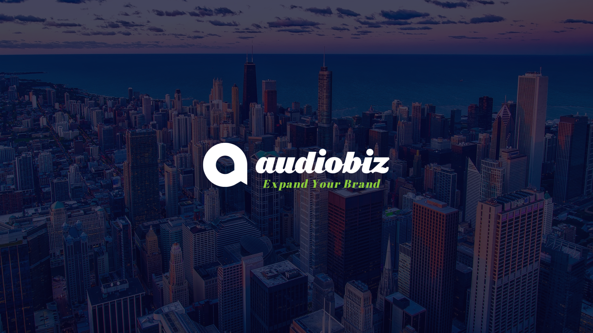 Audio Biz