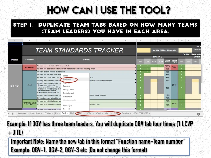 Team Standards Booklet .006.jpeg