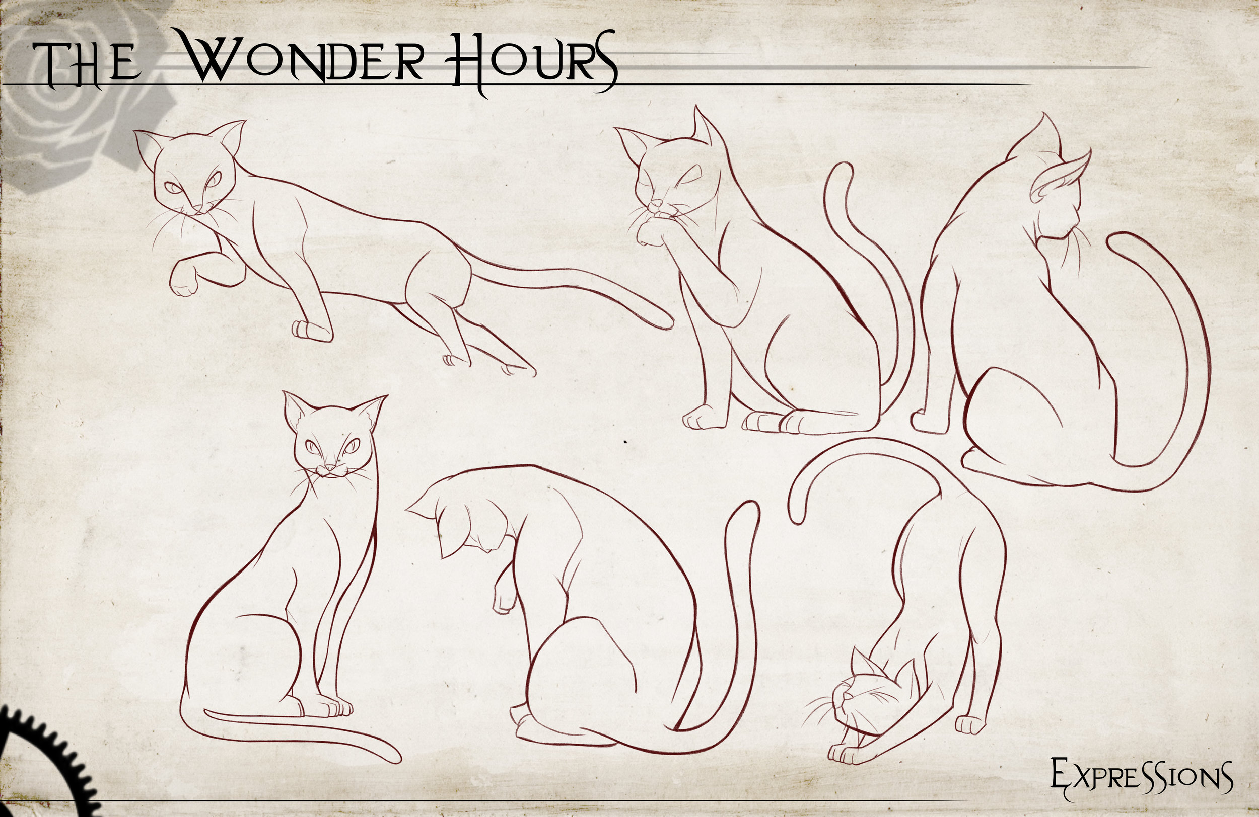 Expression sheets Cheshire.jpg
