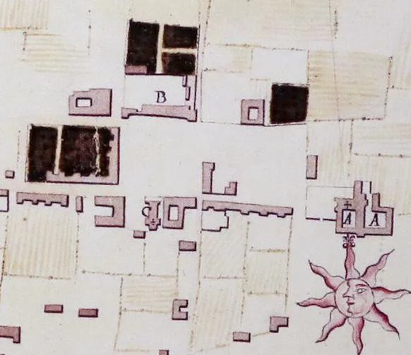 LA CIENEGA SOIL STUDY
