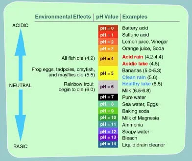 What Is Acceptable Tds Level For Water? – ELBUH