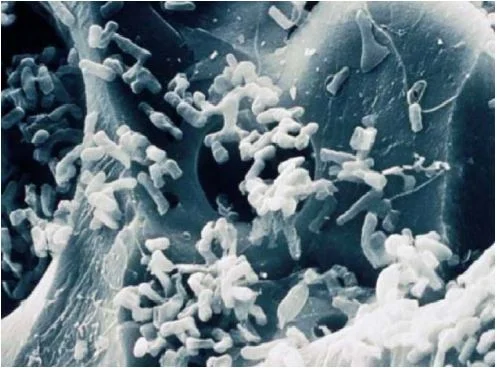 Analyse du fer pour Opération Goutte d'Eau pour les écoles secondaires