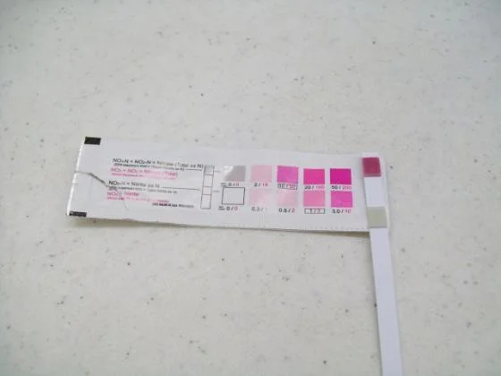 Analyse du nitrate instructions pour les écoles secondaires au format PowerPoint