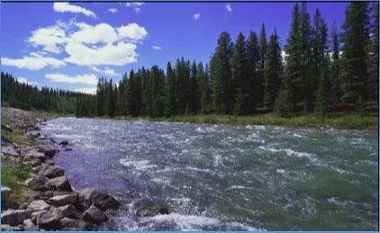 Présentation sur la politique de l'eau au Canada