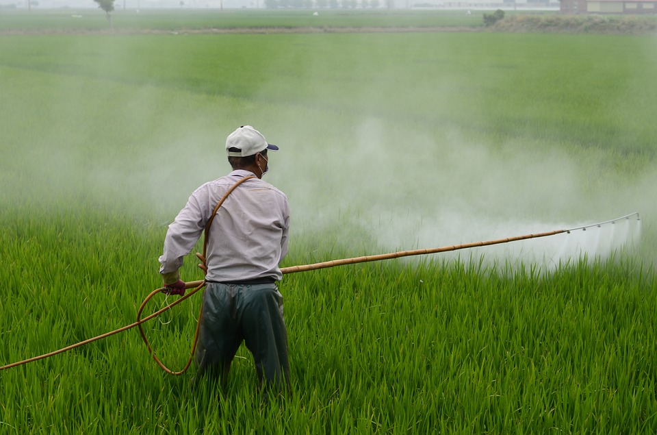 What is the Danger of Having Pesticides in the Water 