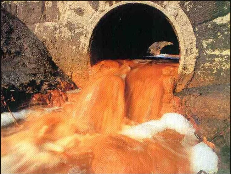 Questions pour la présentation de pollution d'eau