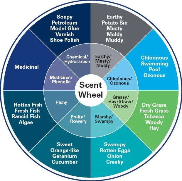 Edmonton water sniffers poised to whiff into action with spring runoff