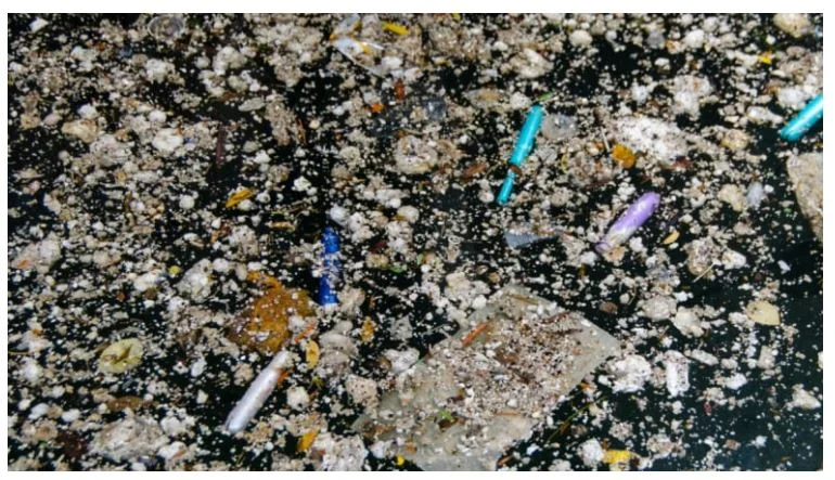 Condoms, pads, tampon applicators found at the Harbourfront following Tuesday's storm