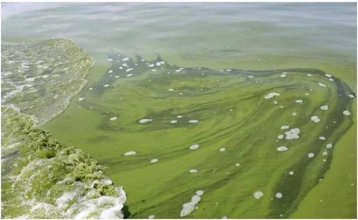 $400k in funding to boost water quality in Lake Erie