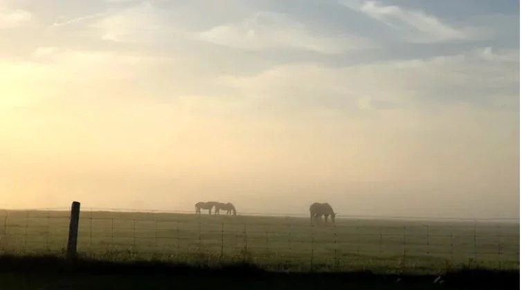 Region of Waterloo won't support Bill 66, votes to send message to province