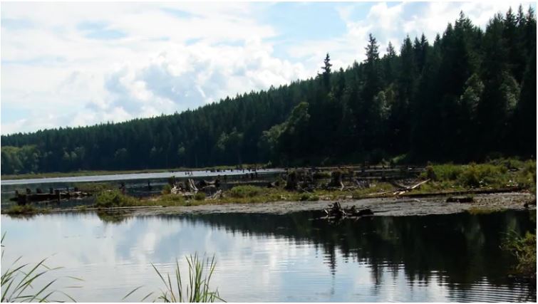 'Isn't this Canada?' Union Bay residents banned from public meeting