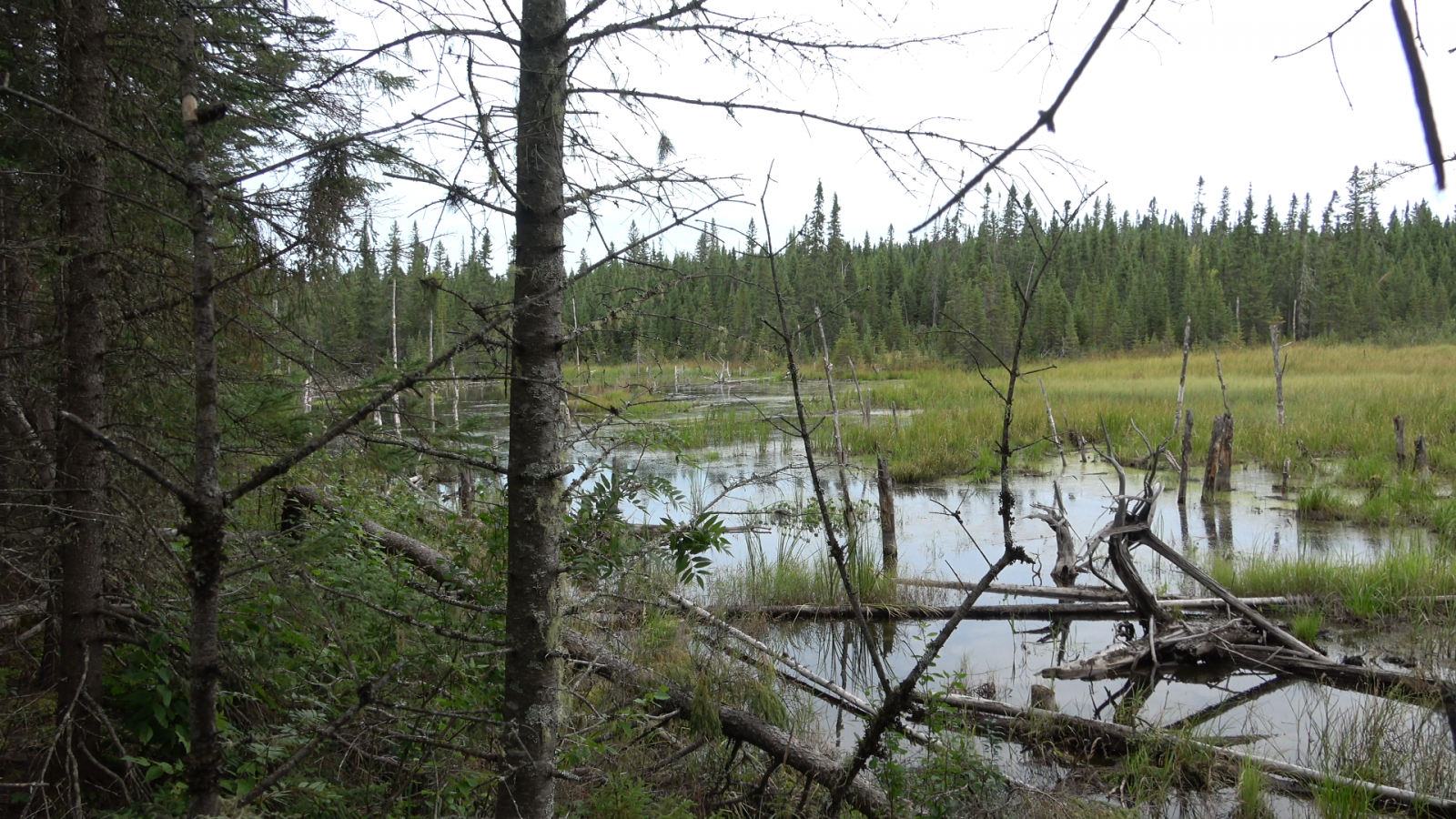 A proposed lithium mine in a Quebec town galvanizes residents who fear for their water supply