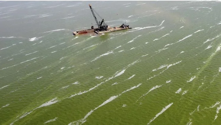 Stopping algae blooms may start on farmlands