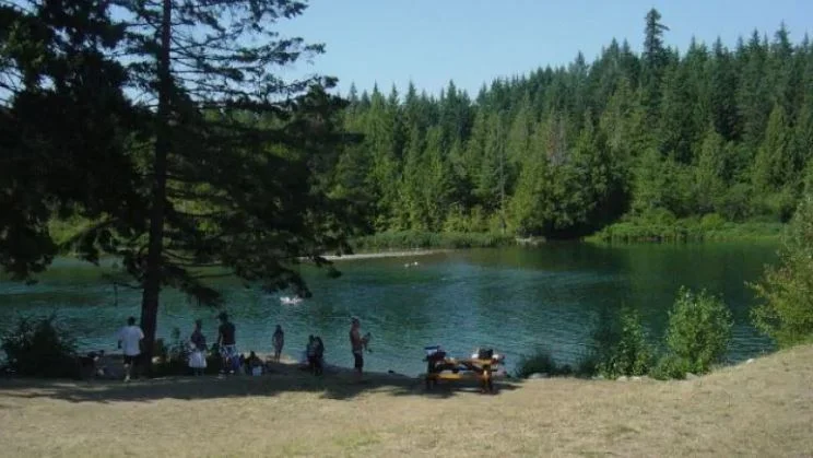 'It'll be a tougher summer': Vancouver Island reservoirs low after dry winter