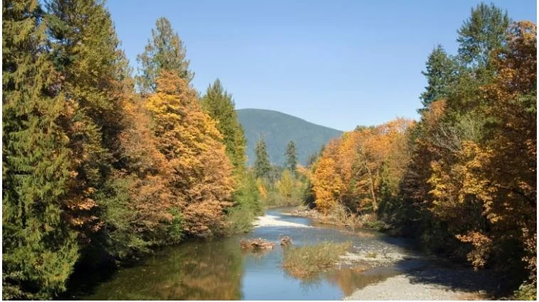 Lake water to be pumped into Cowichan River as severe drought threatens town's water supply
