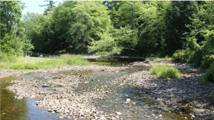 Low water warning issued for Napanee, Belleville regions