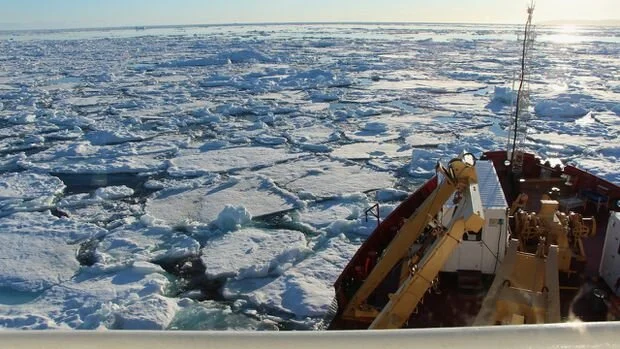 Canadian Arctic awash in microplastics, study finds