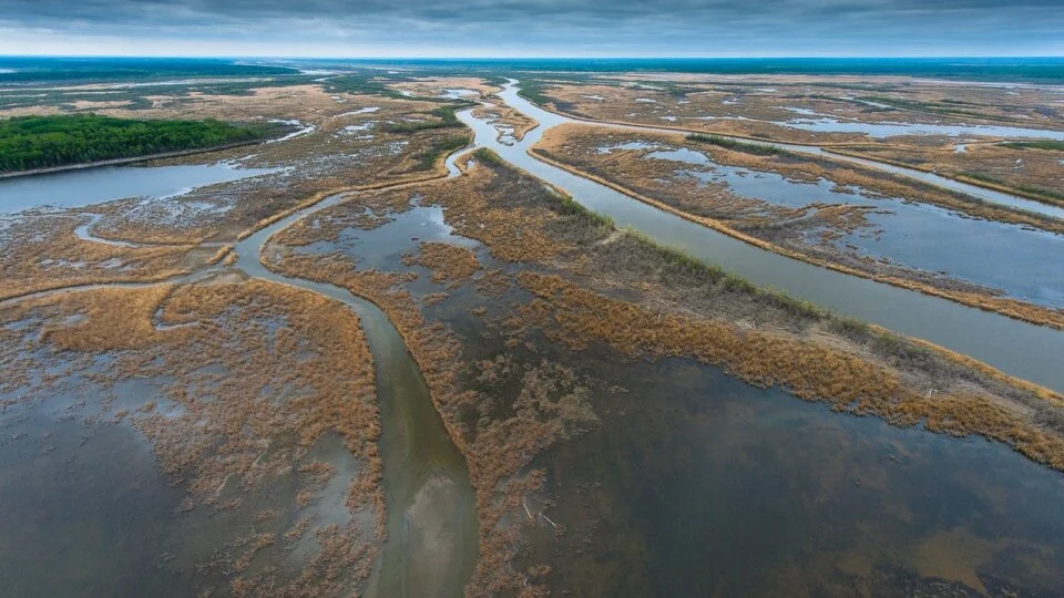World Wetlands Day focused on improving awareness, protection for Sask. ecosystems