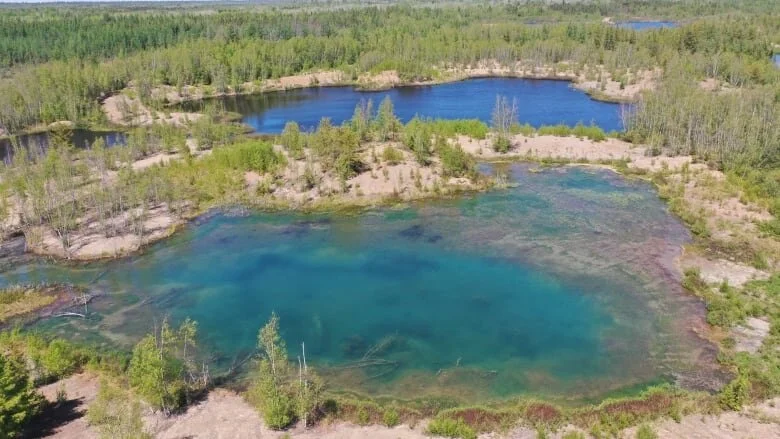 Tropical oasis in N.B.? Nope — just remnants of Minto's mining history