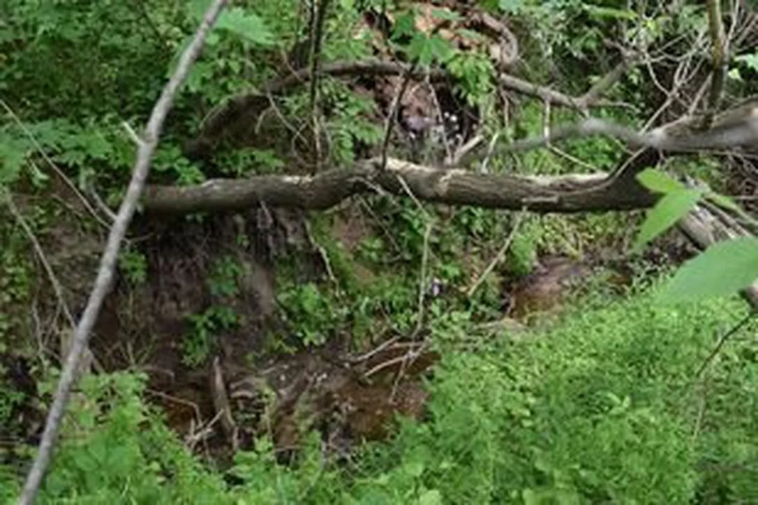 Pelham releases 12 Mile Creek erosion restoration project for tender