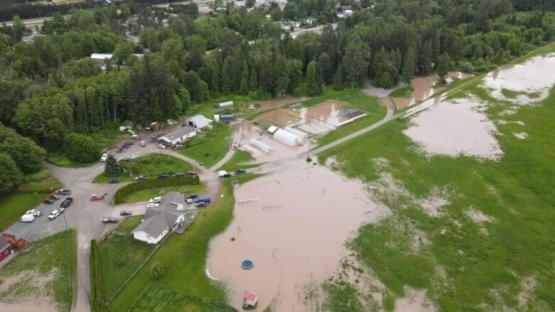 Flooding evacuation orders rescinded as Skeena River recedes