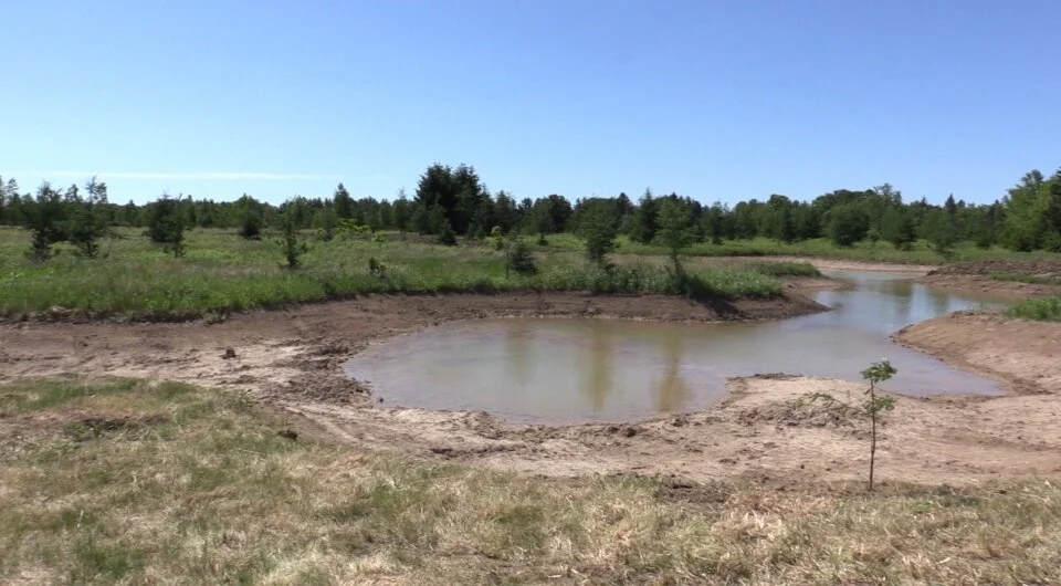 Southwestern Ontario farmers asked to donate portions of land for wetland conservation