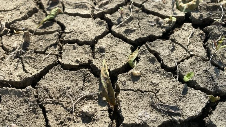 Morden restricts water usage as southern Manitoba city declares extreme drought