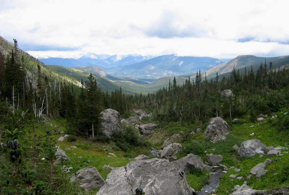 Water outlook ‘bleak’ as glaciers recede in Rocky Mountains