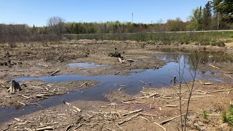 Province installs 'control structure' to protect Fredericton wetland that was accidentally drained