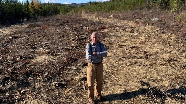 Maine referendum deals blow to Hydro-Québec project