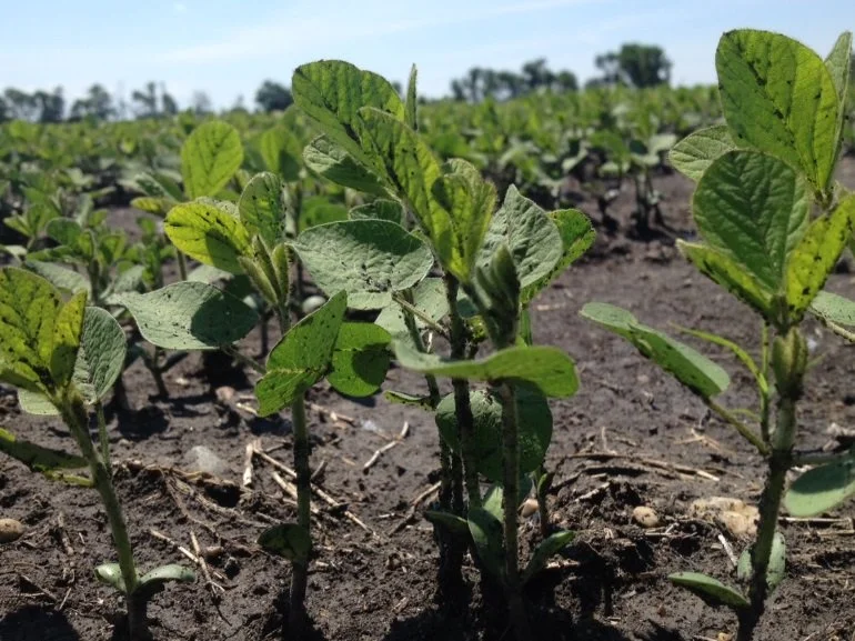 Throne Speech Outlines Need For 'Guaranteed' Water