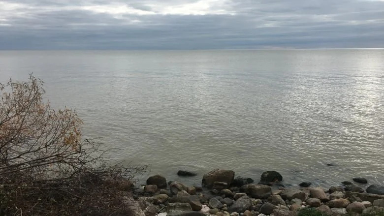 Windsor engineer worried about climate change's impact on water quality in the Great Lakes