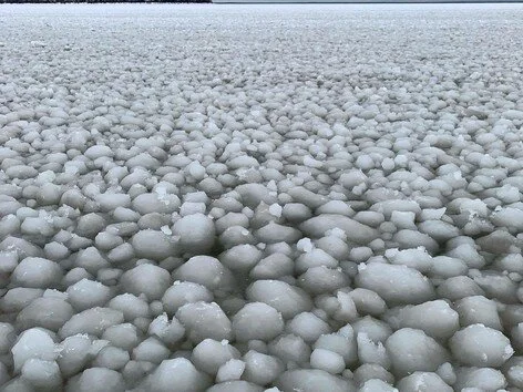 Ice pancakes treat Manitobans to strange formations on water