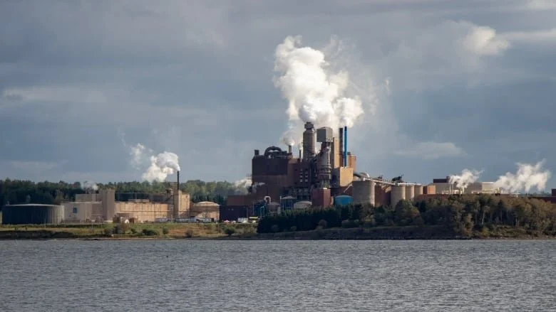 Environmental assessment of Northern Pulp's mill restart plan begins