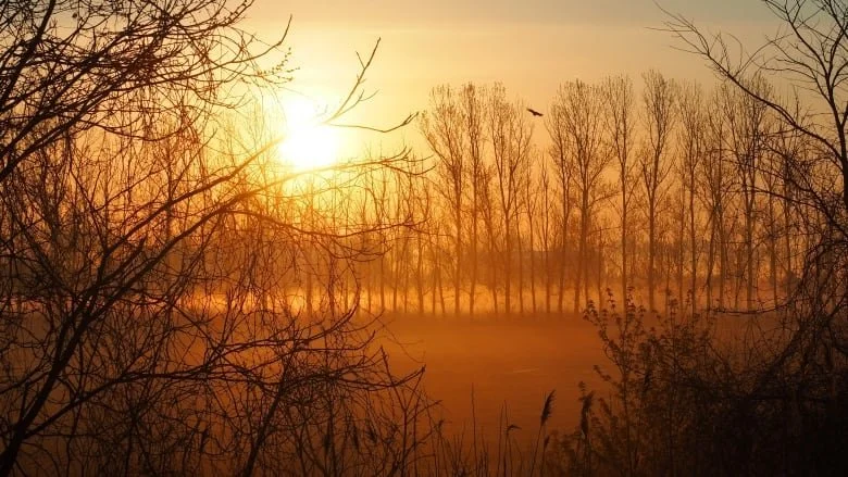 Restoration work at Hillman Marsh to protect region from erosion, maintain wildlife