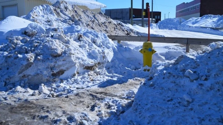 Greater Sudbury looking for volunteers to keep fire hydrants clear