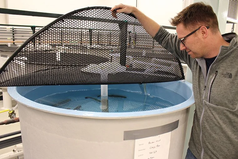 Putting the WATER in Waterloo