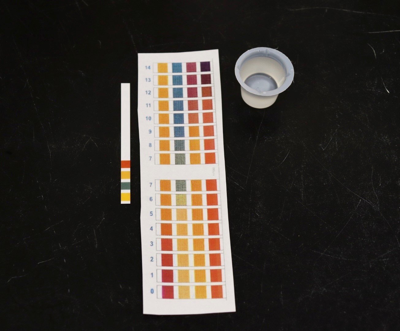 pH Strip Being Compared to Colour Chart.jpg