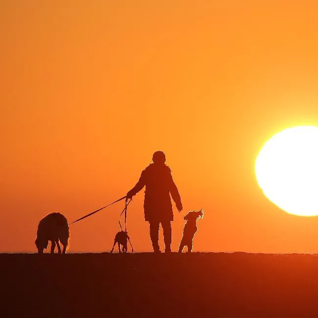 Conservation Halton asking residents to cut back on water use due to